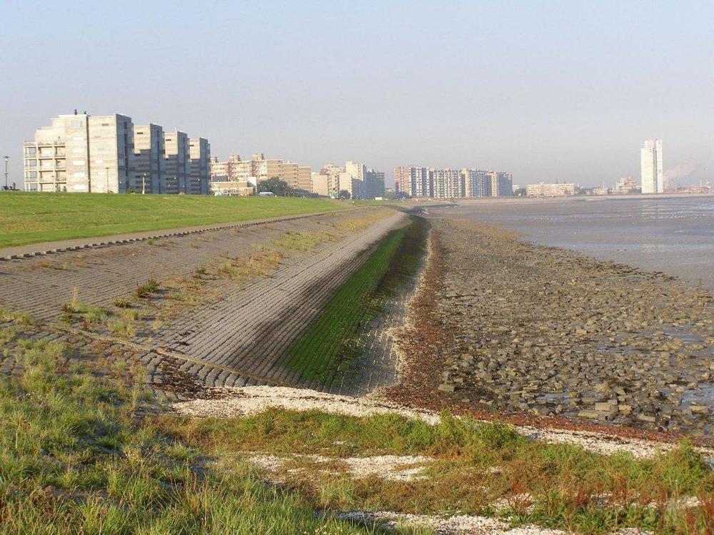 Hotel De Blaauwe Leeuw Terneuzen Ngoại thất bức ảnh